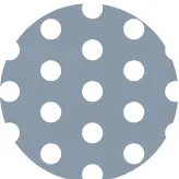 icon_masterpoint.jpg | Saint-Gobain Glass