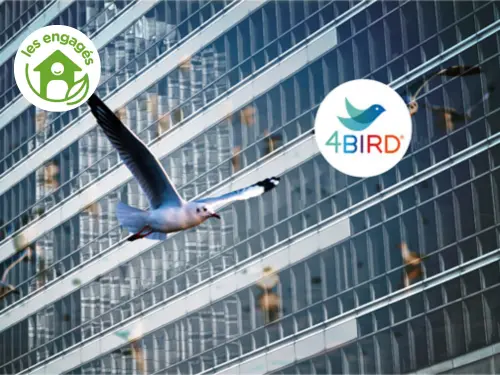 Vitrage de protection pour les oiseaux 4BIRD